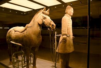 博物馆之旅【陕西历史博物馆+碑林博物馆+西安博物院小雁塔区】【中文司机+陪同人员】