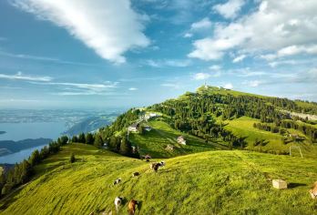 瑞士瑞吉山+卢塞恩湖一日游（中文专车接送）【全程兼顾自然风光与人文体验，温暖治愈！】