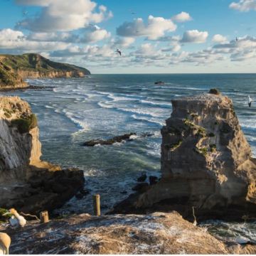 奥克兰包车一日游/景点可调/按需定制/中文司导/10小时服务