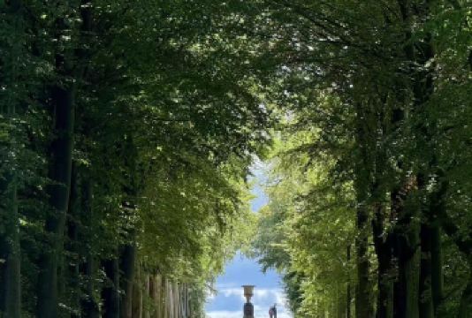 曼城伯明翰利物浦利兹约克谢菲尔德诺丁汉—峰区—达西庄园一日游【英国当地华人旅行社 沟通无障碍 安全有保障】