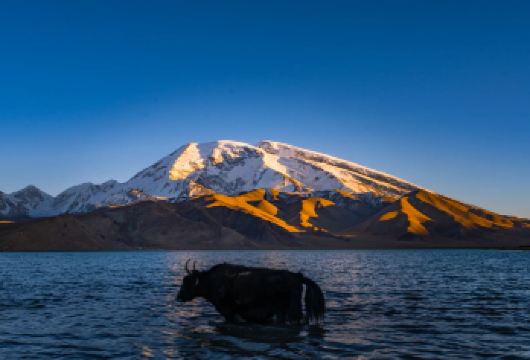 新疆喀什+帕米尔高原+白沙湖+白沙山+喀拉库勒湖一日游【即买即发丨每日发团！随买随拼，出行有保障！】