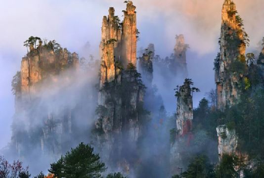 【巨划算】张家界国家森林公园（阿凡达）一日游 极至性价比【[尊享礼遇]臻选本地商家！比价更具优势，包接包送+导游全程陪同，超优价格解锁高品质张家界纯玩体验】