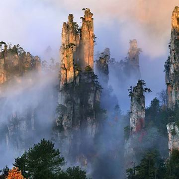 【巨划算】张家界国家森林公园（阿凡达）一日游 极至性价比