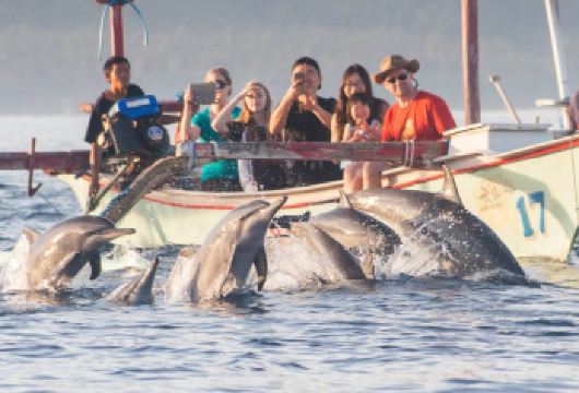 巴厘岛罗威纳海滩一日游【可加火山温泉海神庙spa阿勇河漂流】【适合家庭，情侣，朋友单独出游】