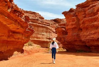 大碱湖+鸡鹿塞+阿贵庙+西部梦幻峡谷一日游【可选2-6人精致小拼团，或私家独立包车游 (多种车型选择）】