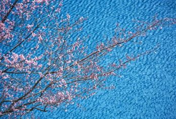 童话世界九寨沟双动车一日游【[九寨纯玩精品，直达景区口]】