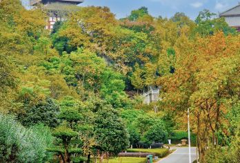 武汉-鄂州一日游：西山+梁子岛+红莲湖 武汉往返|打卡鄂州G【全程中文/英文/俄语/小语种服务，沟通无障碍，景点可调,多种车型可选】