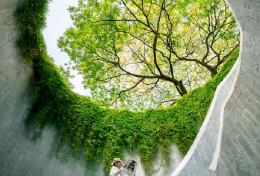 新加坡市区包车一日游-打卡各种网红景点-可多日包车【包车一日游，解锁旅行新方式！独立车辆配备经验丰富的老司机，为您量身打造专属行程。】