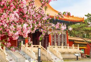 北京八达岭长城+长陵一日游【鸟巢水立方外景VIP私家定制游】【1.真正VIP私家团 纯玩线路，绝无购物店，一站直达景区！】