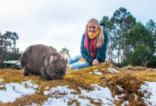 澳大利亚摇篮山+谢菲尔德壁画小镇之旅【霍巴特-朗塞斯顿单程】【从霍巴特出发，直达摇篮山并前往朗塞斯顿，一日串联塔斯马尼亚经典自然景观路线。】