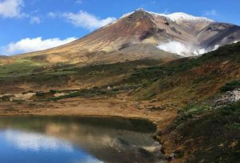 日本北海道+旭川动物园+青池一日游/行程可调-可定制多日【包车一日游，解锁旅行新方式！独立车辆配备经验丰富的老司机，为您量身打造专属行程。】