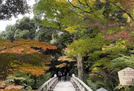 日本名古屋【行程自定 包车一日游】热田神宫-名古屋城-德川园【1、串联名古屋核心历史地标，一天内感受日本传统建筑与园林的从神社到古城再到庭园，历史脉络清晰，线顺直】