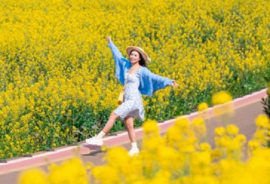 私家团●重庆+潼南大佛寺+陈抟故里·崇龛花海包车一日游上门接【包车游，上门接送】