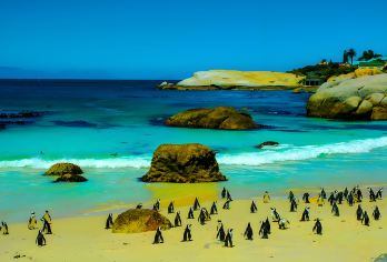 墨尔本普芬比利蒸汽火车+菲利普岛一日游/当地跟团/定制包车游【乘坐19世纪初的复古小火车，穿行丹顿尔农山脉】