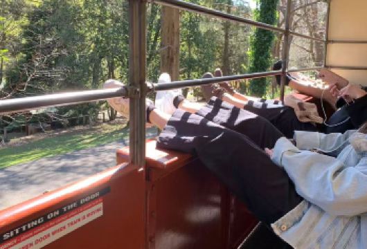 墨尔本普芬比利蒸汽火车＋菲利普岛：蒸汽小火车和小企鹅探索之旅【均含火车，企鹅归巢门票，中文接待】