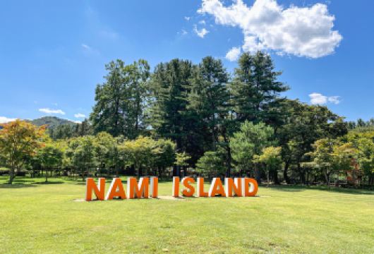 韩国首尔南怡岛往返巴士一日游 (弘大/东大门/明洞专车接送)【首尔直达南怡岛｜巴士从弘大、明洞、东大门出发，免转车直达自然秘境，省去交通烦恼，一日来回轻松方便。】