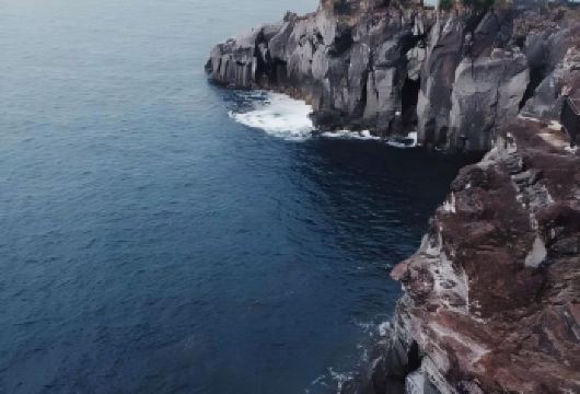 日本东京+伊豆+热海海滨公园一日游/行程可调-可定制多日【包车一日游，解锁旅行新方式！独立车辆配备经验丰富的老司机，为您量身打造专属行程。】