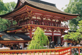 水乡下柳川游船体验一日游丨中英文服务丨柳川人气游船+武雄神社【柳川人气游船，还有机会看到船夫的“爬桥特技”！】