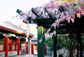 恭王府一日游|可选十人团|含恭王府门票及精讲|亲子优选精品团【[品质保证.经验丰富]京腔京调讲解，聆听故宫故事，精选5年以上从业导游】