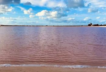 墨西哥坎昆粉红湖+火烈鸟+尤卡坦风光【私家包车+南美定制】【尊享一对一高端行程定制，多日豪华包车专属礼遇，专业旅行顾问24小时恭候垂询。】