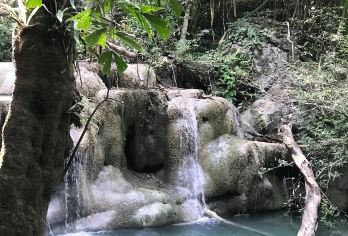 清迈大象营+飞跃丛林+射击体验+粘粘瀑布一日游（中文司机）【和大象近距离接触，感受原始瀑布的惊险刺激，体验新奇刺激的射击运动和丛林飞人】