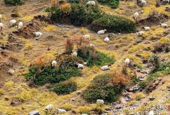 金塔寺+马蹄寺一日游【金塔寺沿途-走走停停-小车团】【[金塔寺]特窟瑰宝，河西石窟的”隐秘王冠“】
