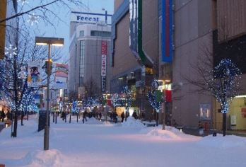 日本北海道+旭川动物园+青池一日游/行程可调-可定制多日【包车一日游，解锁旅行新方式！独立车辆配备经验丰富的老司机，为您量身打造专属行程。】