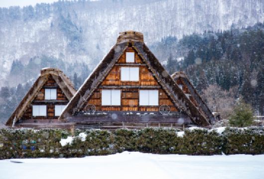 【名古屋出发】探秘白川乡合掌村(直达展望台）・高山风情之旅【白川乡合掌村 走进历史与现代相融的古都 世界文化遗产童话小房子】
