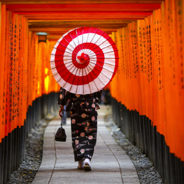 京都&奈良一日游丨奈良公园+伏见稻荷+岚山竹林小径+野宫神社