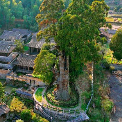 村游·山里的古村落·江南古寺·丽水云中大漈·时思寺包车1日