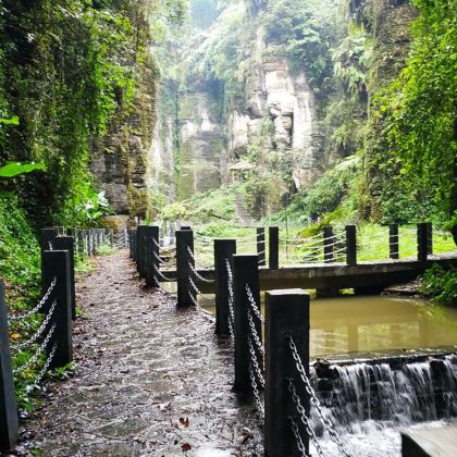 宜宾僰王山户外徒步一日游【含门票+往返接送】