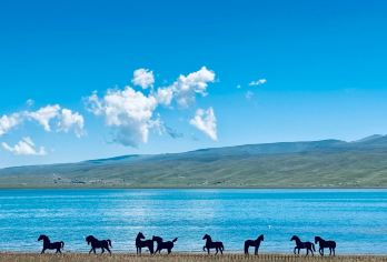 塔尔寺+青海湖+日月山+拉脊山一日游【小团市内接送】【1，达人带队，精选线路，深度体验，创新玩法，贴心管家，摄影帮手，路上美景随走随停！】