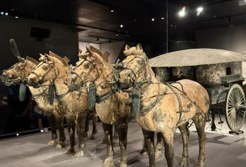 秦始皇兵马俑+丽山园+铜车马+赠送汉服体验一日游【精品小团】【[品质保障]优选商品，品质拒绝购物 、无自费】