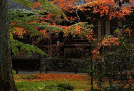 日本京都-琉璃光院-三千院-贵船神社-红叶满天 京都巡礼【专业行程定制，精选热门景点，高效游玩不走回头路，贴心服务保障，轻松】