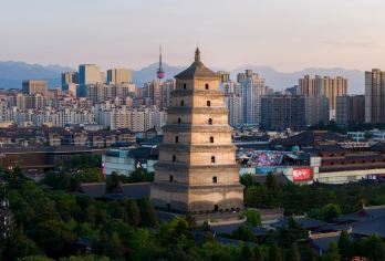【双塔探密】西安博物院+大慈恩寺一日游讲解【一日揽双塔，穿越千年时光，领略唐代建筑的雄浑与精巧，感受古都西安深厚的历史底蕴。】