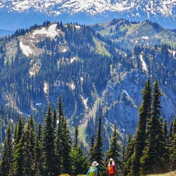 美国西雅图市区往返奥林匹克国家公园飓风岭等-包车-精选