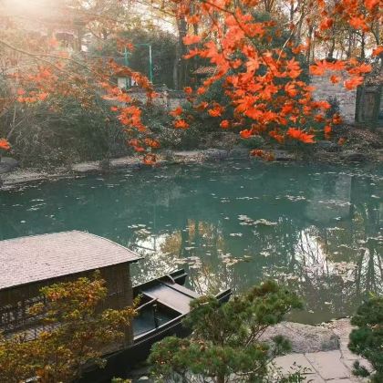 【合肥出发】铜陵永泉小镇+忆江南12景+青阳灵芝·1日游