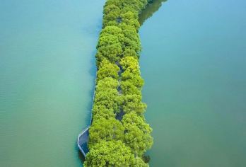 武汉精华印象【东湖+省博+武汉大学+黄鹤楼+长江大桥】【[精品服务]24小时旅游管家在线服务】