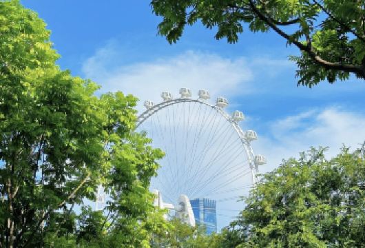 深圳博物馆+欢乐港湾+南头古城+莲花山一日|私家小团上门接送【私家旅行：一单一团，不拼客，专属旅行；品质服务：5座/7座车上门接送，专职司机护航】