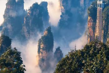 张家界森林公园错峰深度一日游【拼小团8/15人可选】可定制【[精华景点全含]张家界森林公园武陵源核心景区深度游：黄石寨+金鞭溪+杨家界+天子山+袁家界（乾坤柱）】