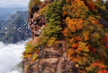 【官方讲解】齐云山风景区人文2H精讲｜纯玩精华半日游【[贴心服务]无隐形消费、无压缩行程，带来深度文化沉浸与省心体验】