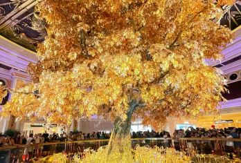 澳门大三巴+威尼斯一日游【司兼向导包车游‖打卡全澳经典路线】【澳式网红打卡景点，[专职司兼向导+独立成团包车游]，高端定制，行程自由，向导推荐景点/美食/规划线路】