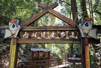 云南包车游|野象谷&野象谷索道&基诺山寨&湄公河水底世界【行程可咨询，私定行程】