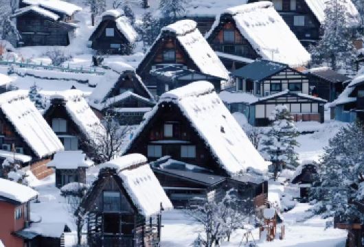 名古屋白川乡合掌村【直达展望台】+飞驒高山一日游【中文导游】【每日发团，4人成行】