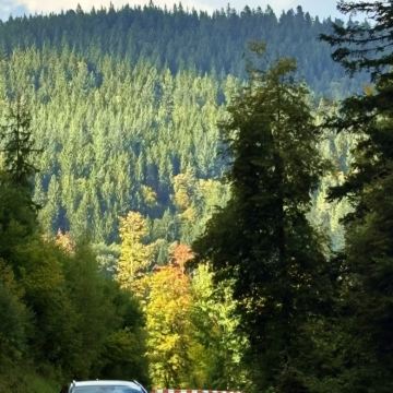 德国纽伦堡*巴登-巴登 + 特里贝格【温泉与黑森林】一日游