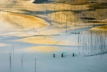 福建霞浦光影栈道【北岐滩涂杨家溪、小皓滩涂、东壁村上门接送】【[服务保障] 严选正规资质车辆和司机+陪您追光逐影！ 一对一VIP专车服务/24小时行程管家服务！】