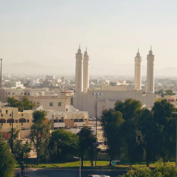 阿联酋艾因动物园+艾因骆驼市场+沙漠绿洲艾因 一日包车游