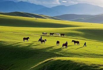 祁连山草原卓尔山一日游 途径扁都口纯玩深度【九号公路祁连山腹地深度游】