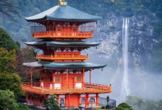 日本大阪-和歌山-白滨一日游12h-可关西周边日本全境~包车【包车一日游，解锁旅行新方式！独立车辆配备经验丰富的老司机，为您量身打造专属行程。】