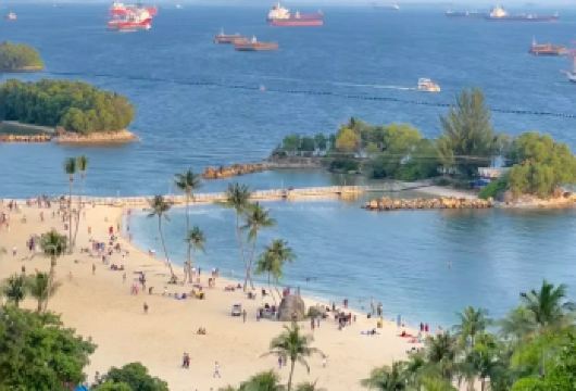 新加坡市区包车一日游-亲子欢乐之旅-可多日包车-精选【包车一日游，解锁旅行新方式！独立车辆配备经验丰富的老司机，为您量身打造专属行程。】